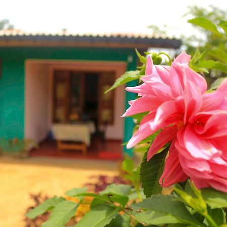 Yoho Nilmini Homestay Ella Esterno foto