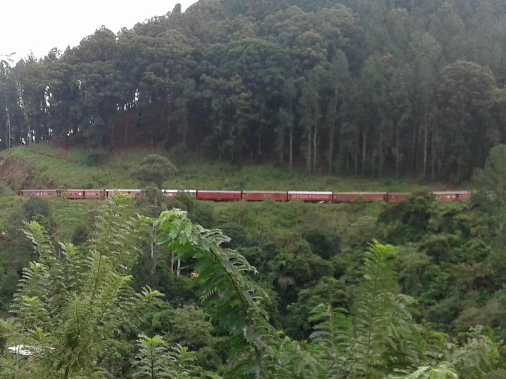 Yoho Nilmini Homestay Ella Esterno foto