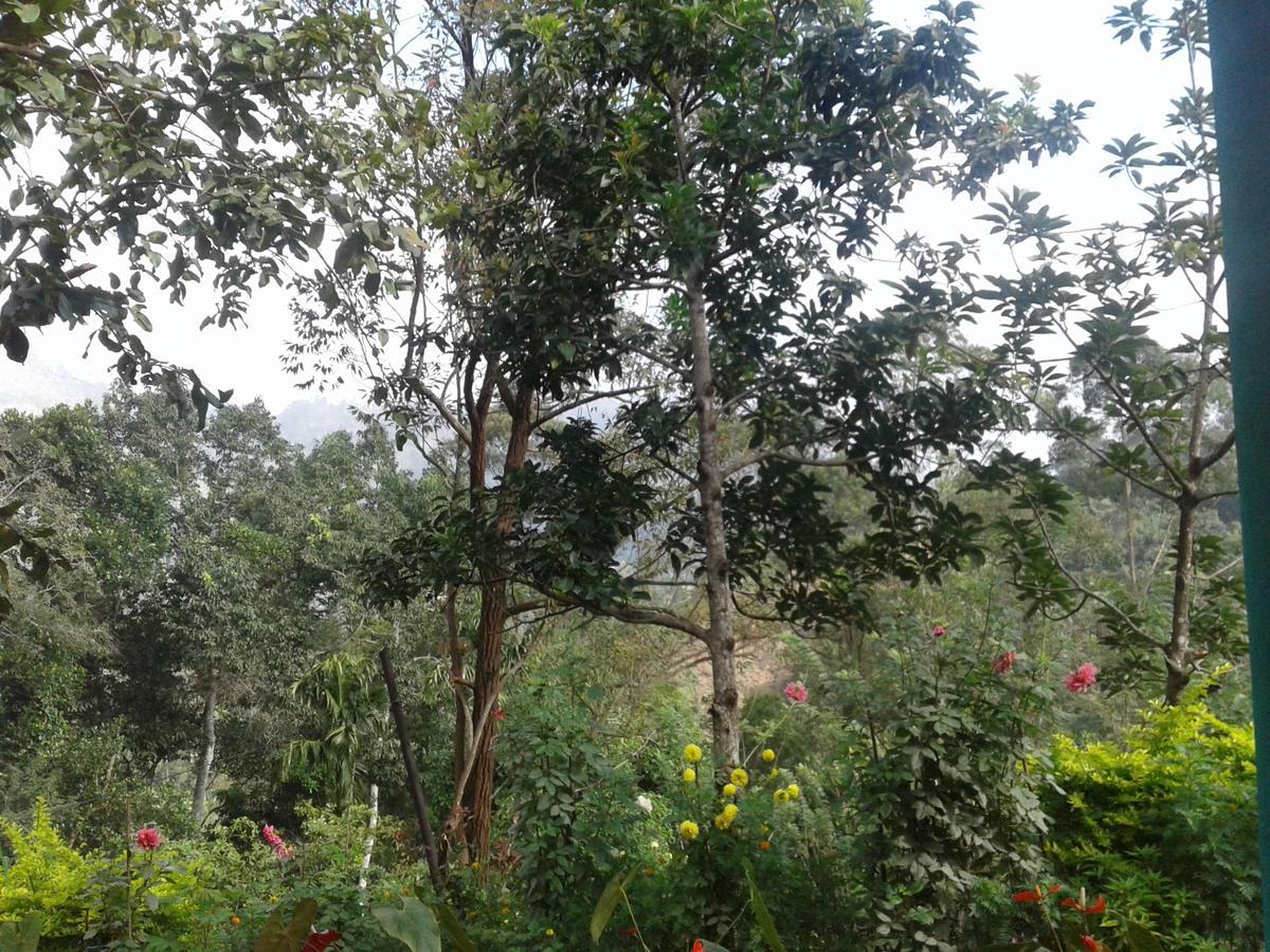 Yoho Nilmini Homestay Ella Esterno foto