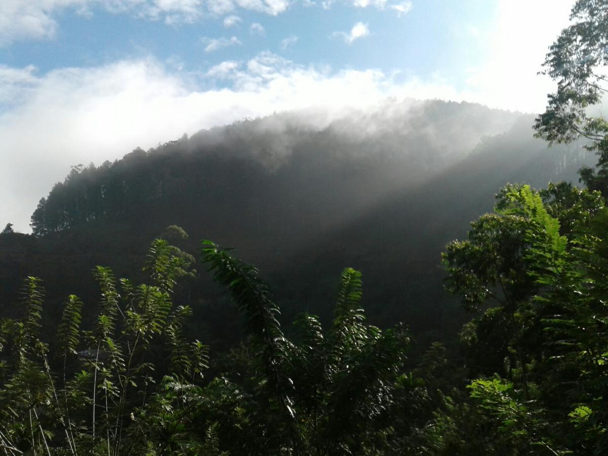 Yoho Nilmini Homestay Ella Esterno foto