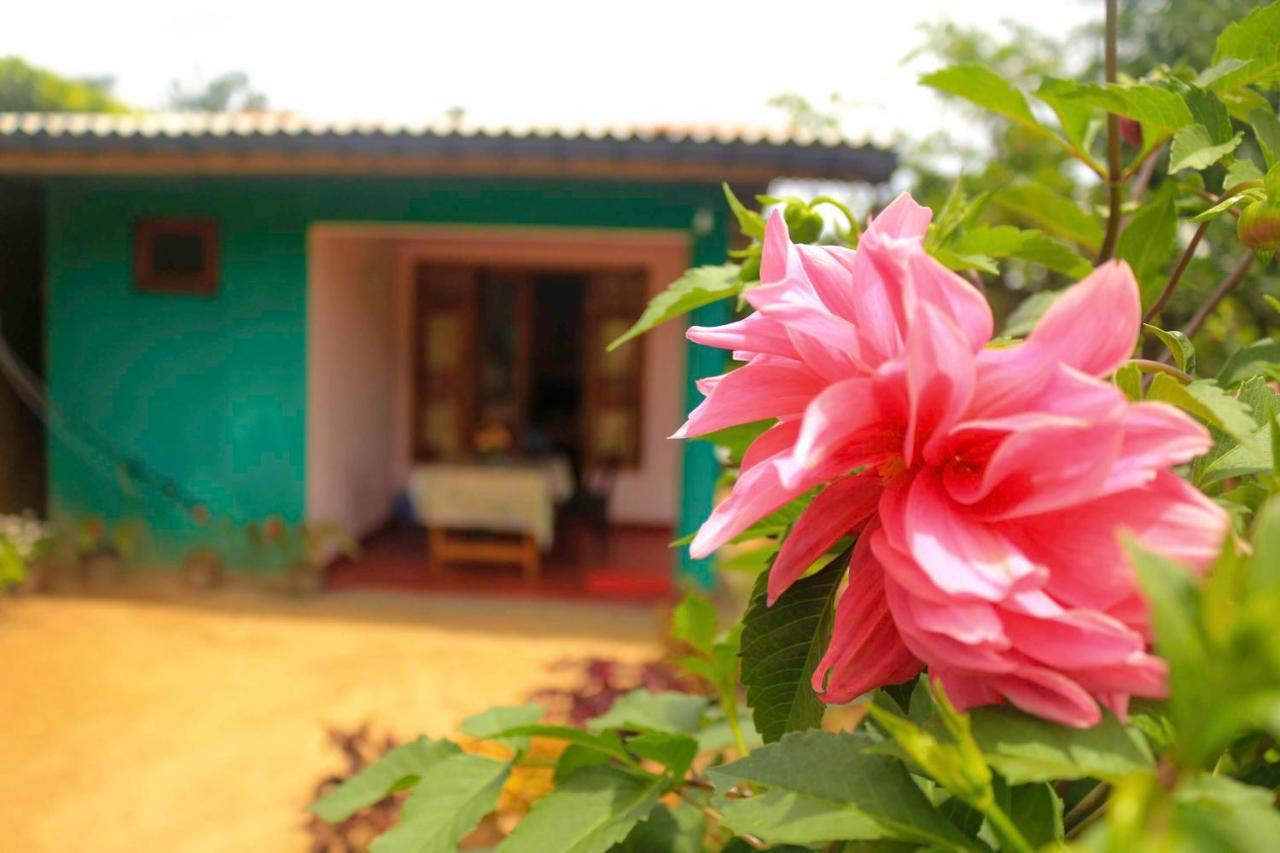 Yoho Nilmini Homestay Ella Esterno foto