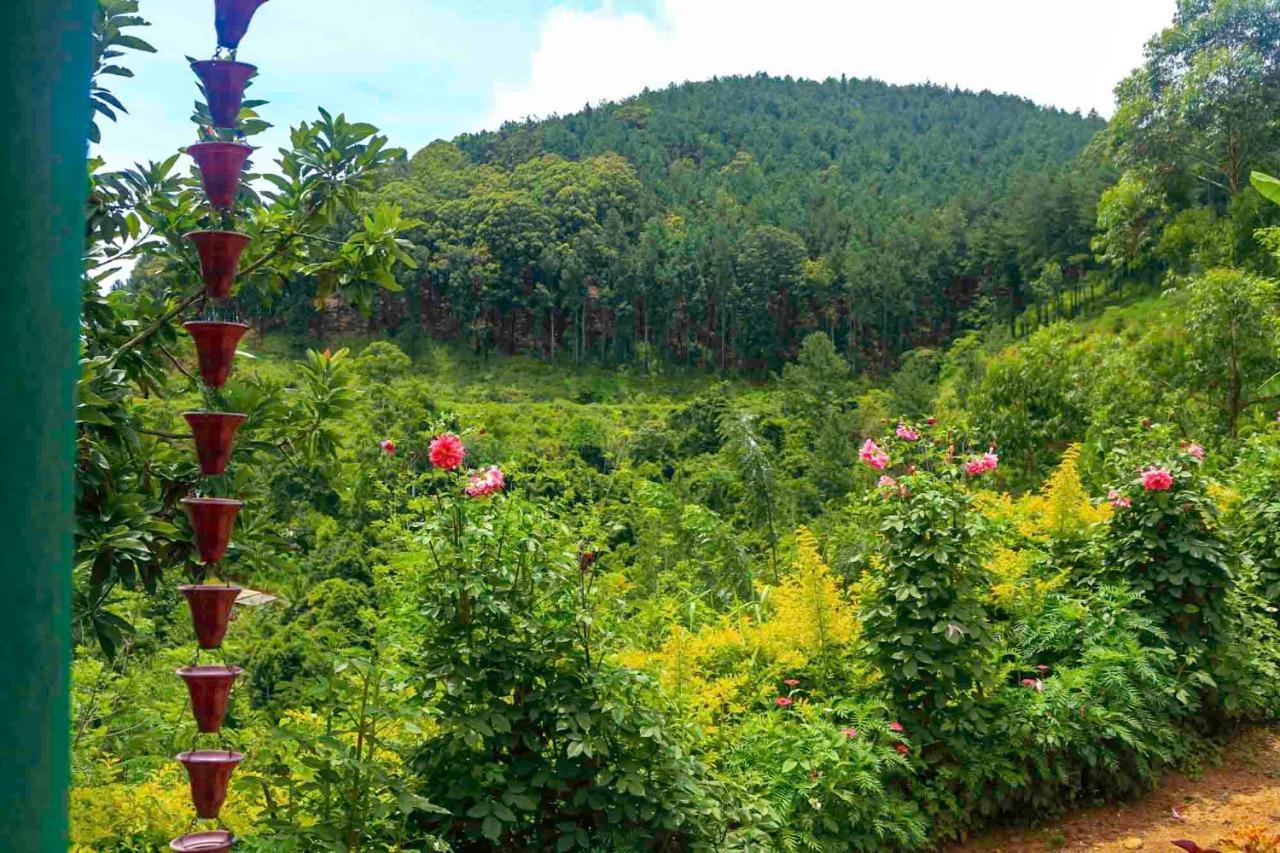 Yoho Nilmini Homestay Ella Esterno foto